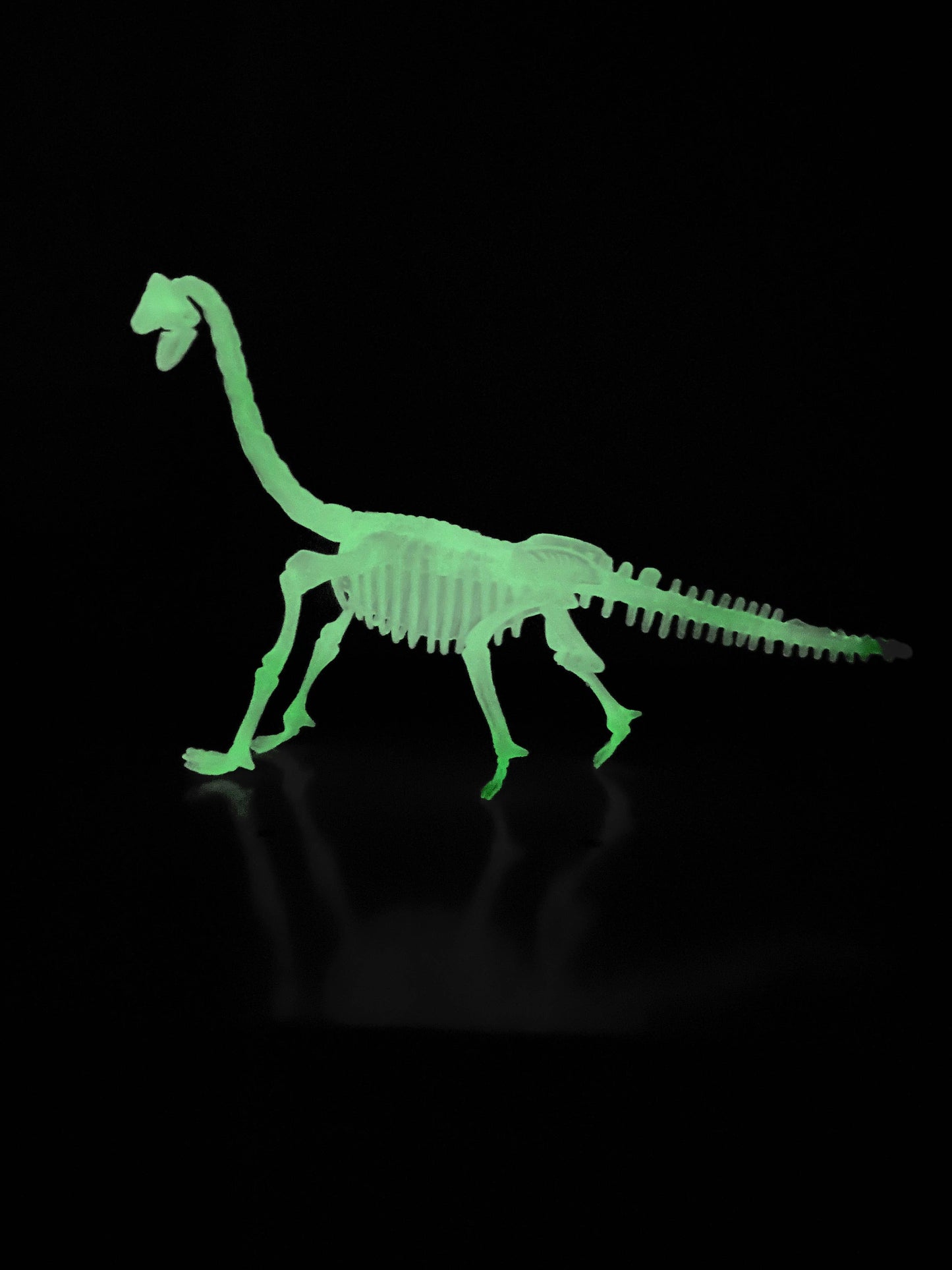 Dinosaur Glow In The Dark Skeleton Model Kit