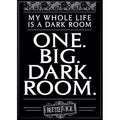 Beetlejuice One Big Dark Room Magnet