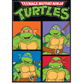Teenage Mutant Ninja Turtles Logo Team Magnet