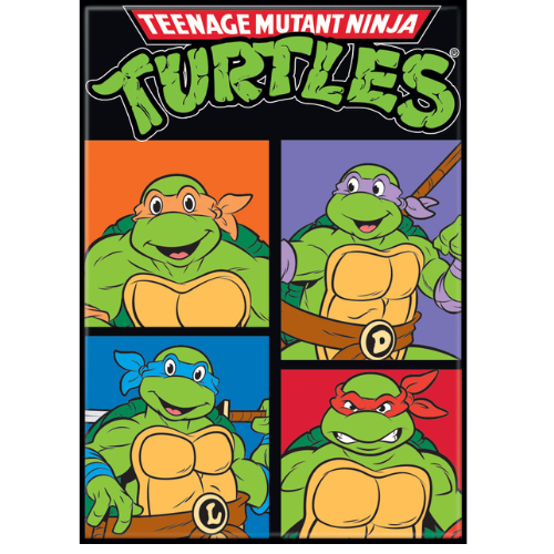 Teenage Mutant Ninja Turtles Logo Team Magnet