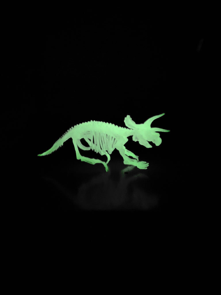 Tedco Glow In-The-Dark Glowing Dinosaur Skeleton Model Kit