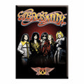 Aerosmith Band Graphic Magnet