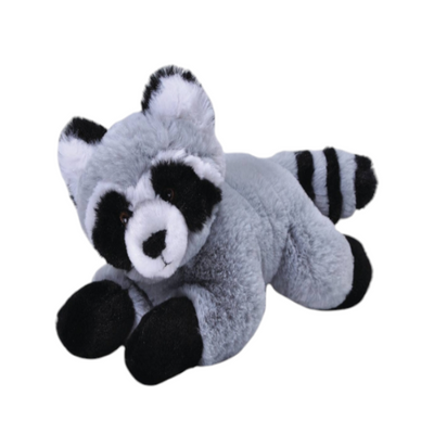 Raccoon  Plush  8 Inch