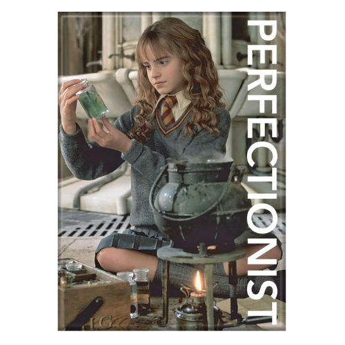 Harry Potter Hermione Granger Perfectionist Magnet