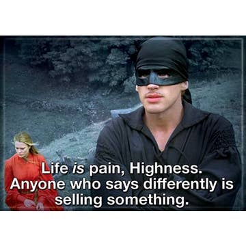 Princess Bride Life Is Pain   Magnet 3.5" x 2.5"