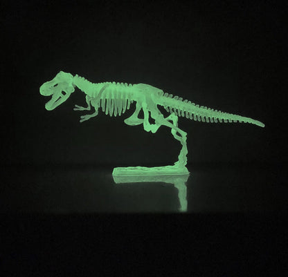 Tedco Glow In-The-Dark Glowing Dinosaur Skeleton Model Kit