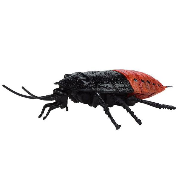 Gross Bug 3D Puzzle Set