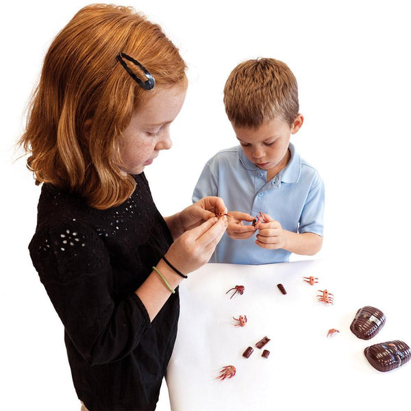Gross Bug 3D Puzzle Set