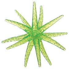 Toysmith Yay! Sticky Star Fish Squishy Fidget Toy